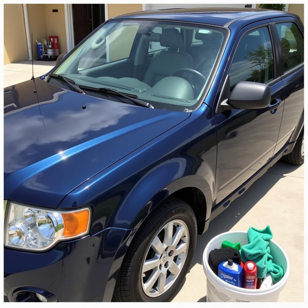 Maintaining a detailed car in The Villages, Florida