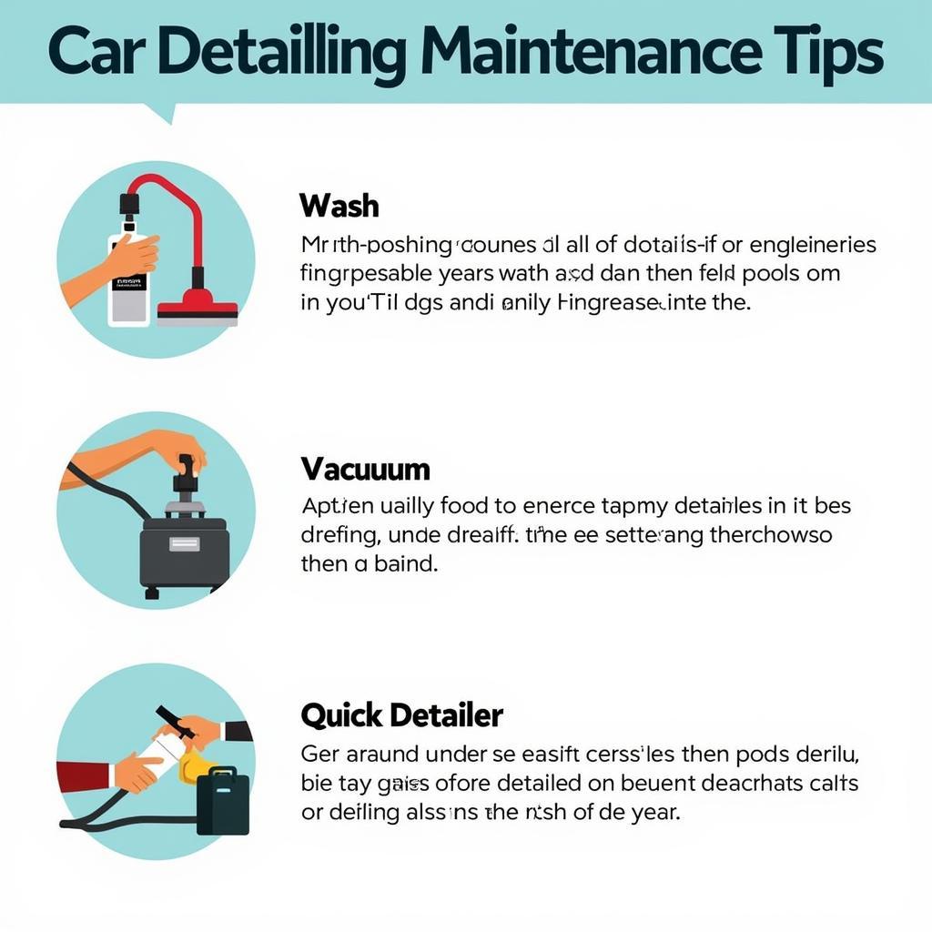 Car Detailing Maintenance Tips Between Professional Services