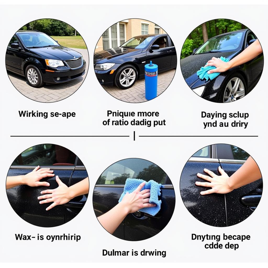 Maintaining Your Car's Detail