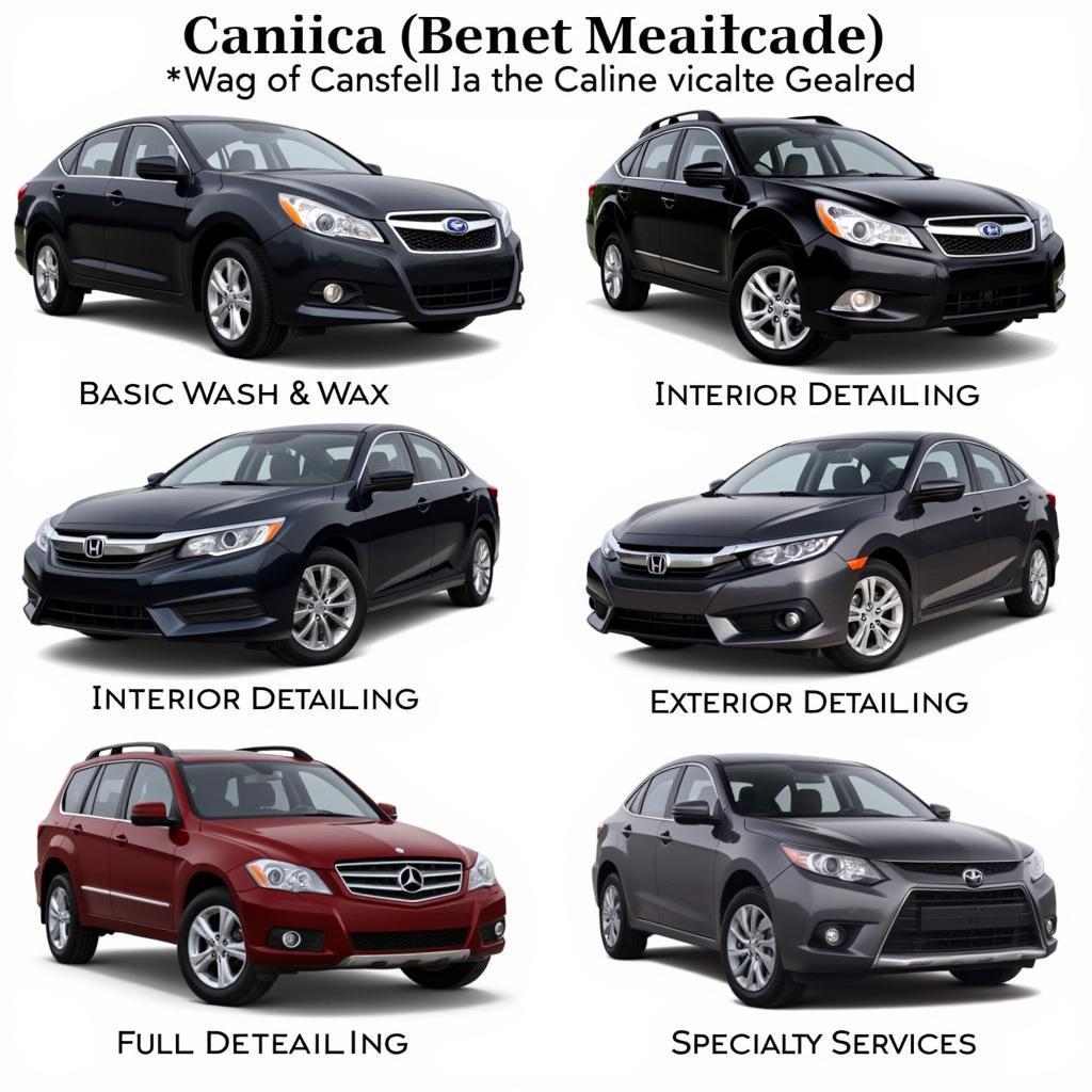 Car Detailing Services in Mansfield Ohio