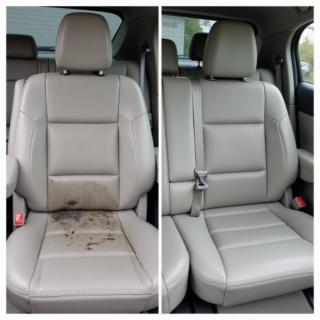 Car Detailing Mold Removal Edmonds Before & After