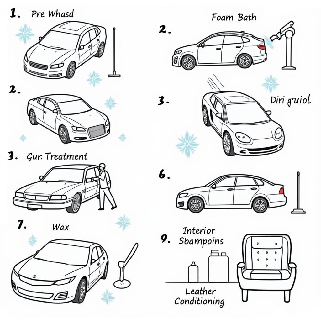 Murfreesboro Car Detailing Process