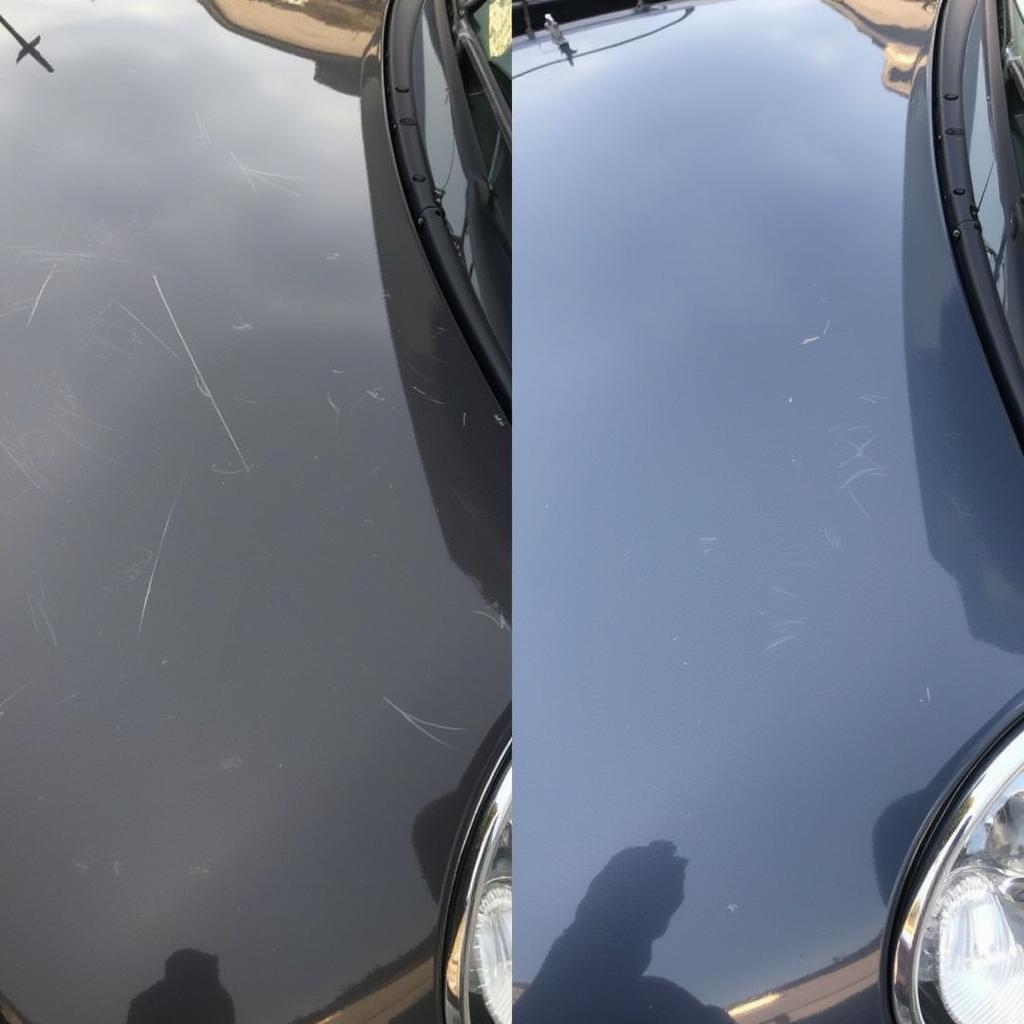 Professional Car Detailing Paint Correction in Northgate