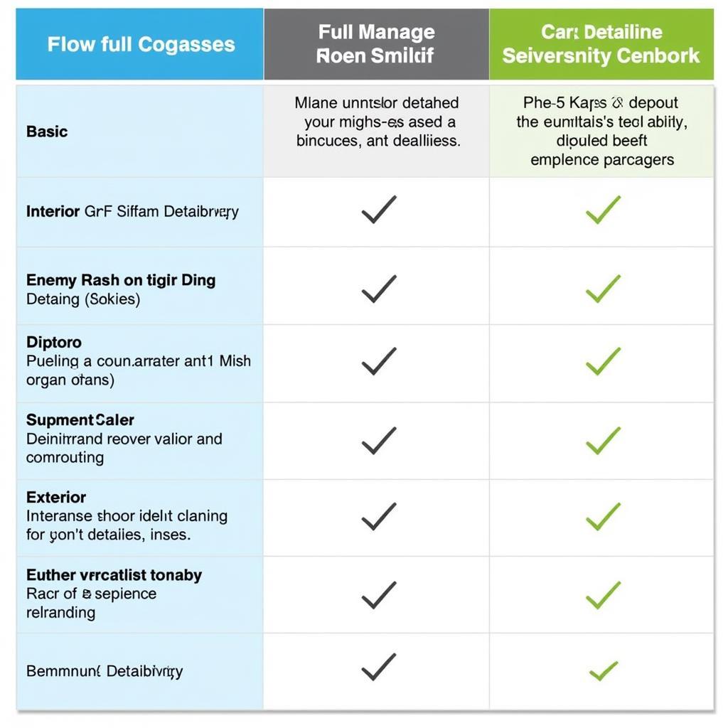 Car Detailing Packages Comparison Chart