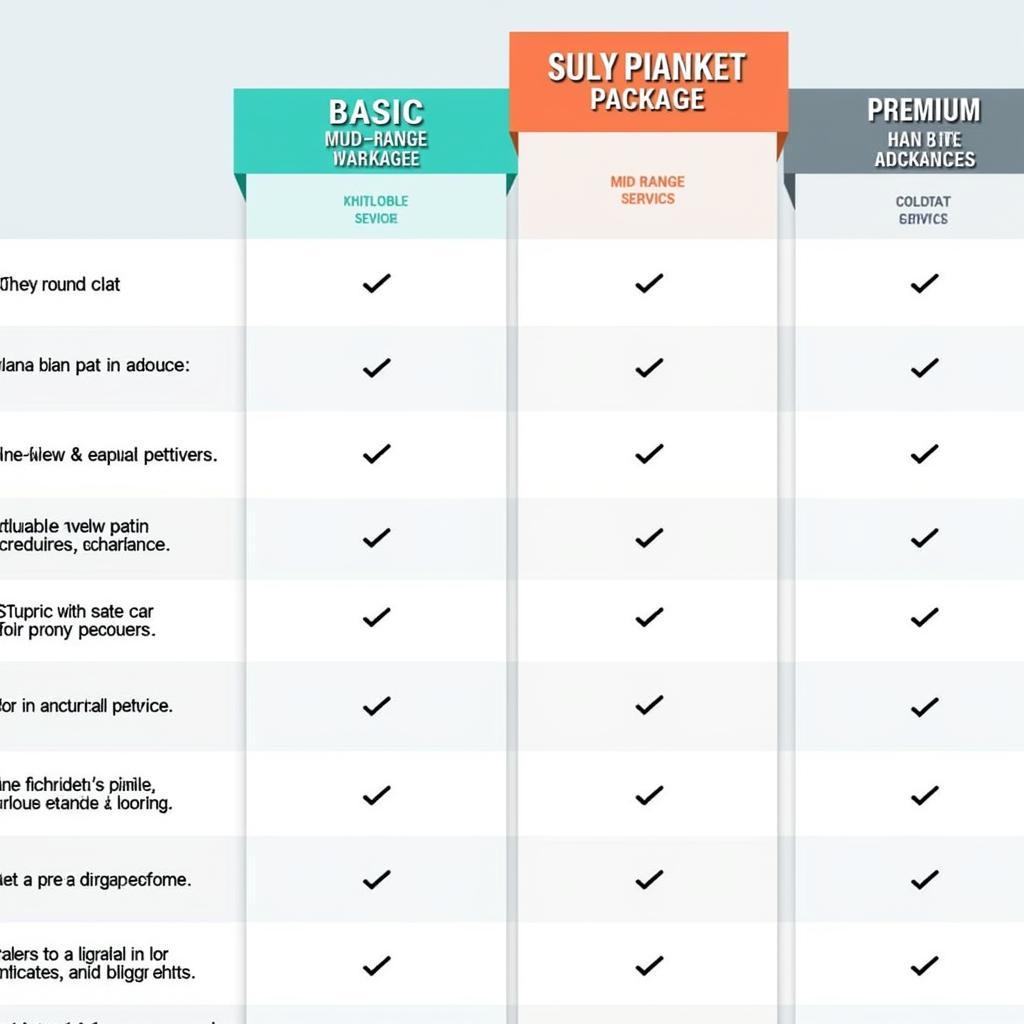 Comparing Different Car Detailing Packages