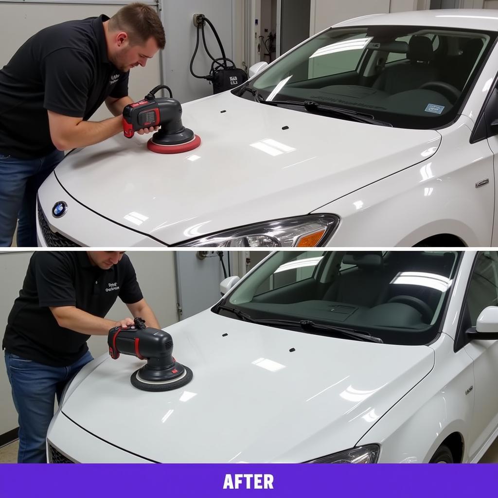 Car Detailing Paint Correction Process