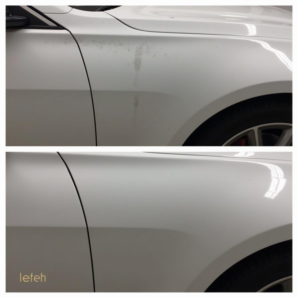 Car Detailing Paint Correction in Concord, CA