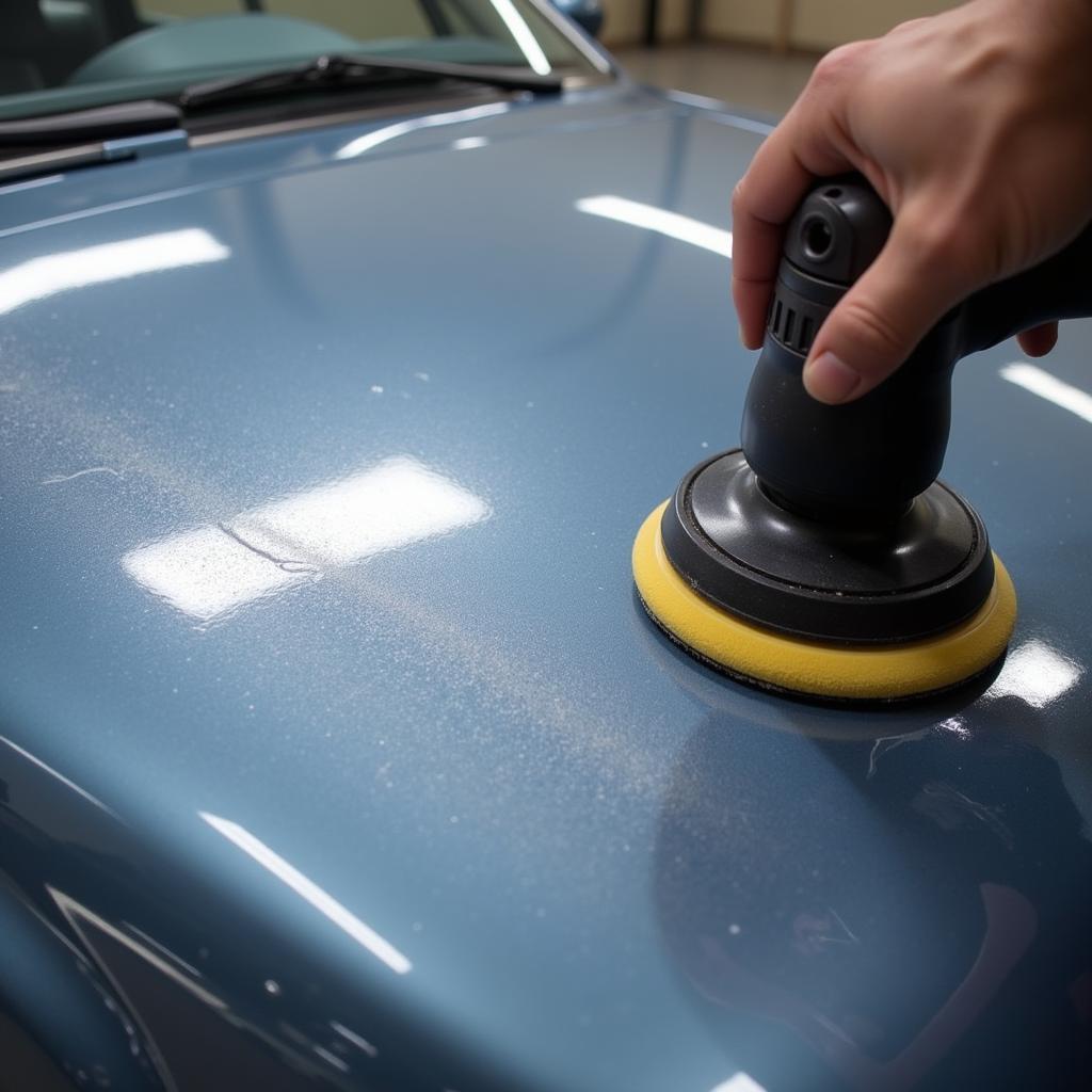 Car paint correction detailing in Walnut Creek, CA