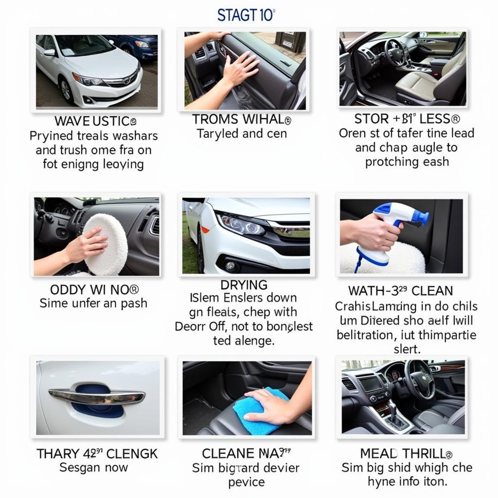 Car Detailing Process: Different Stages