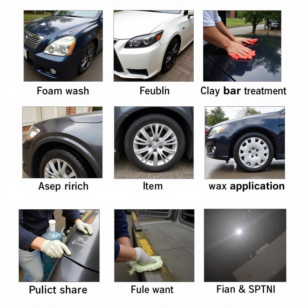 Car Detailing Process in Gisborne