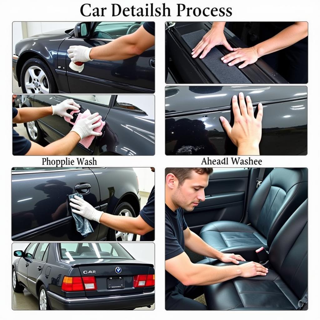 Car Detailing Process in Haines City, Florida