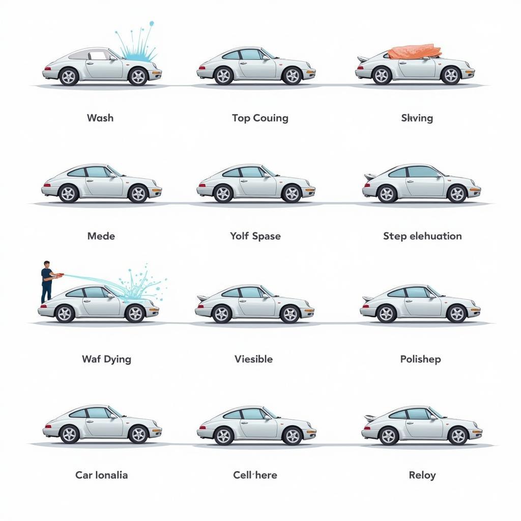 Car Detailing Process Stages