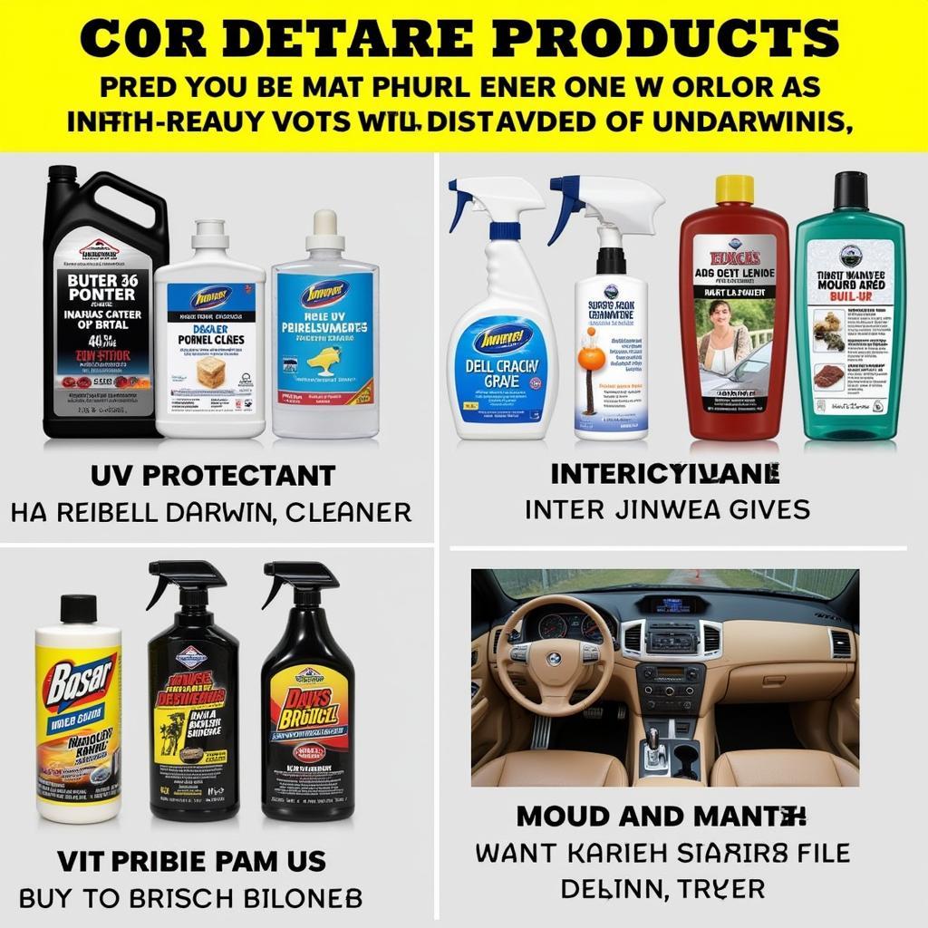 Car Detailing Products Suitable for Darwin's Climate