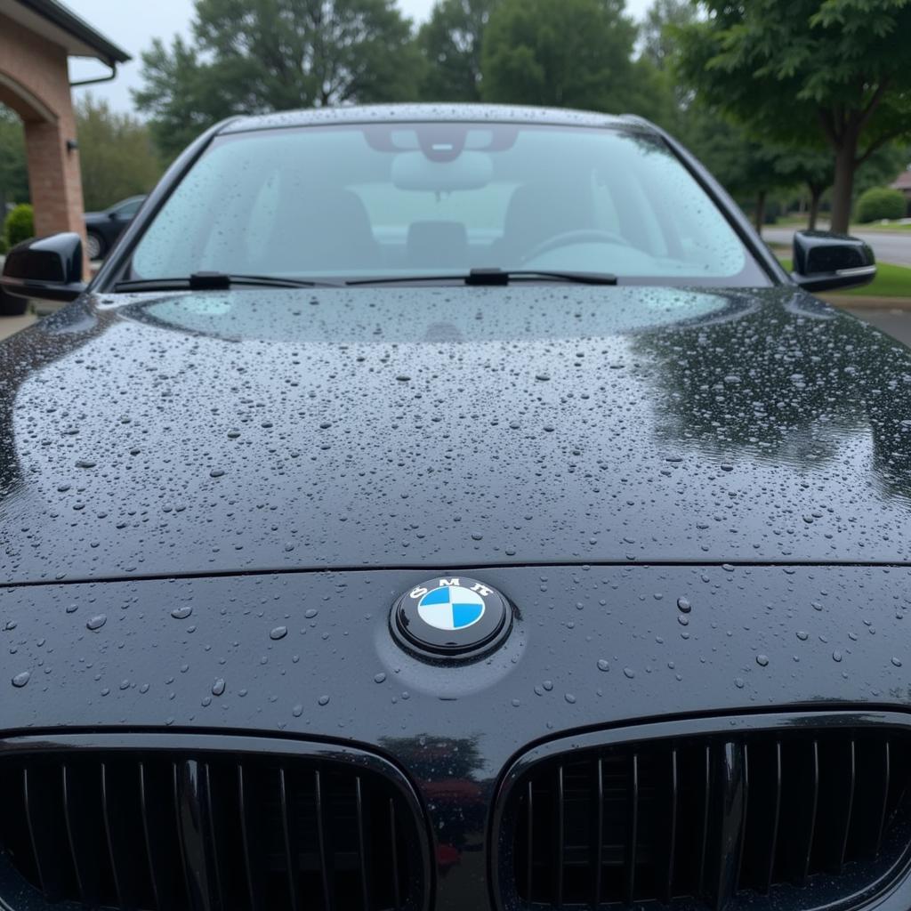 Car Detailing in the Rain: Common Problems and Challenges