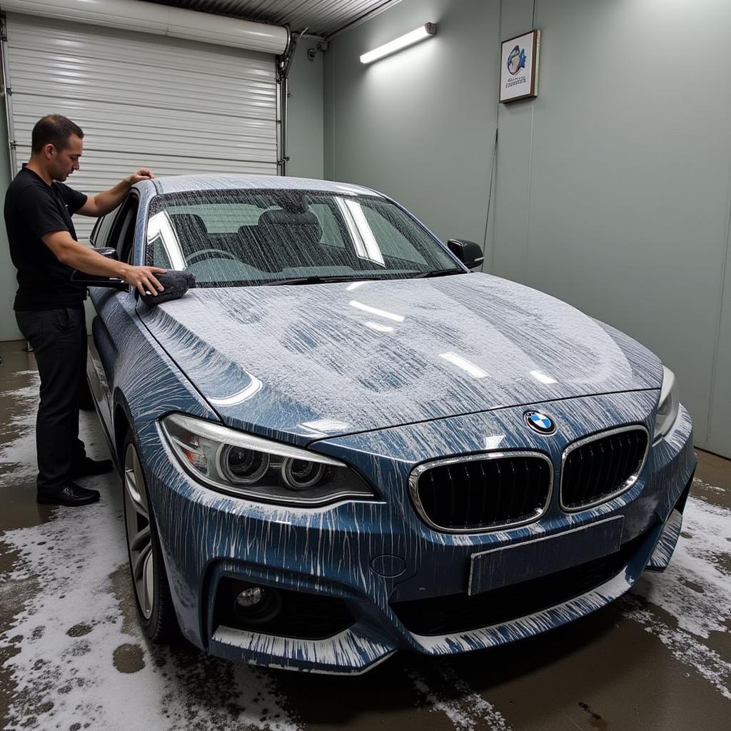 Car Detailing Rocklea: Exterior Wash and Dry