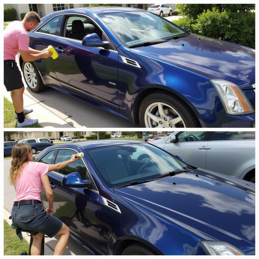 Exterior car detailing in Sarasota