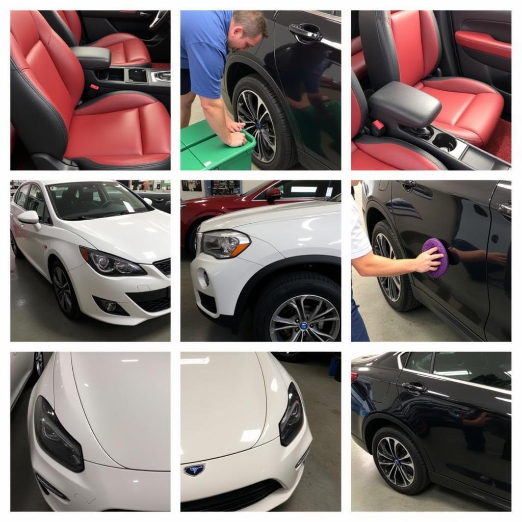 Different Car Detailing Services - Interior and Exterior Detailing Options