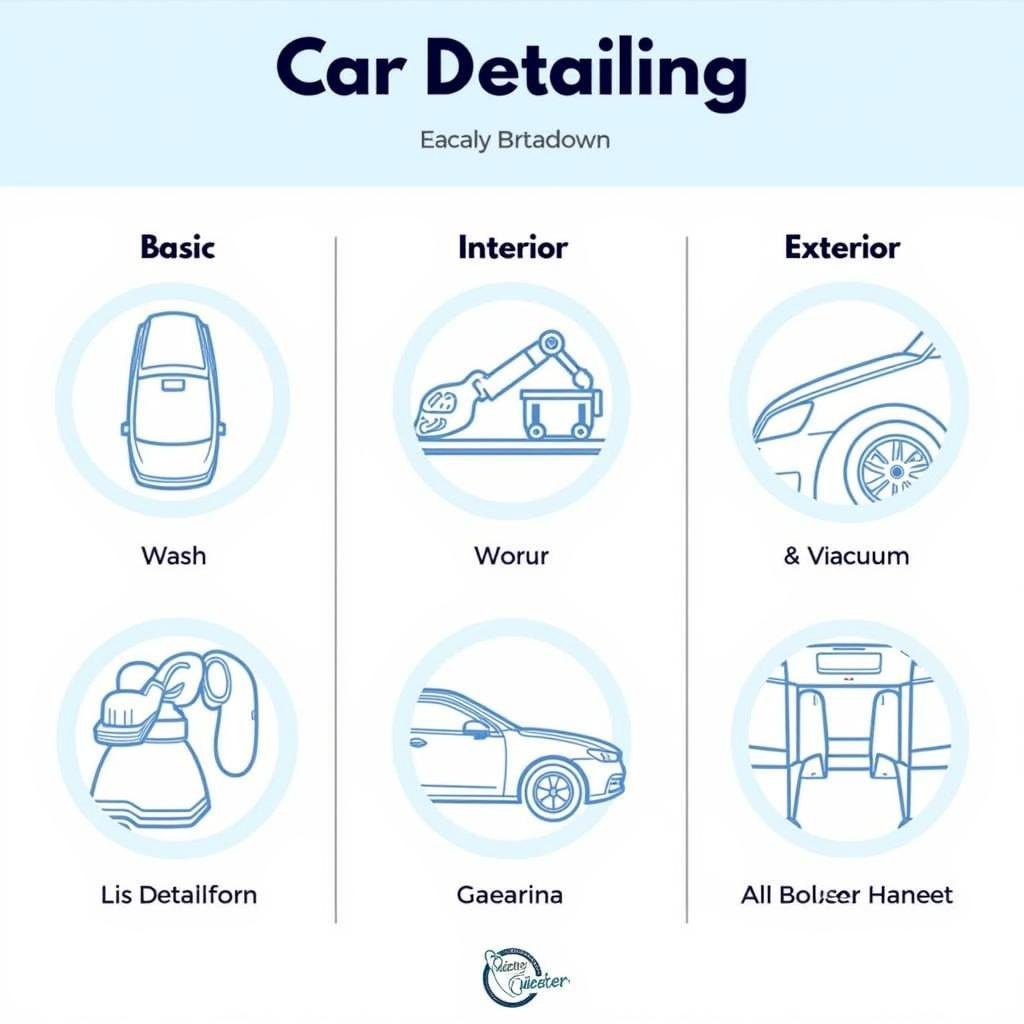 Breakdown of Car Detailing Services