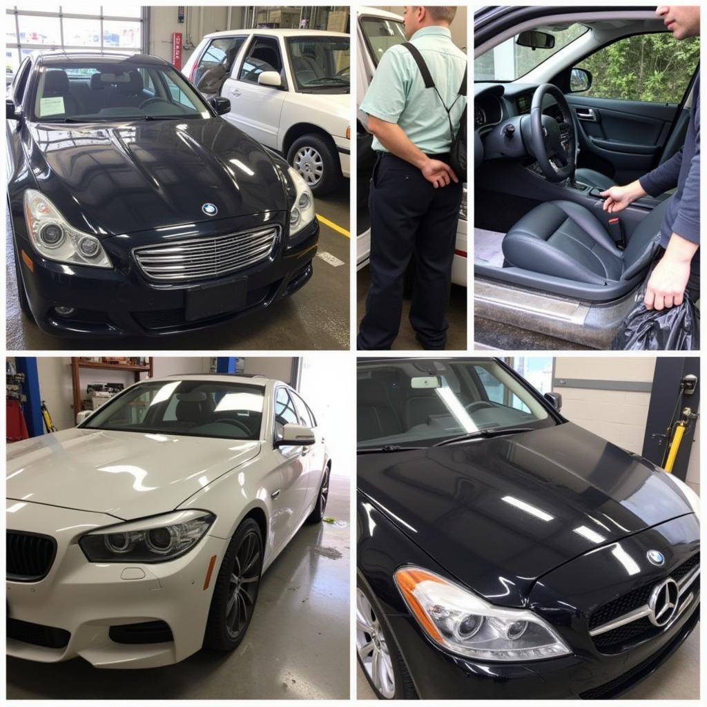 Comprehensive Car Detailing Services in Burnaby