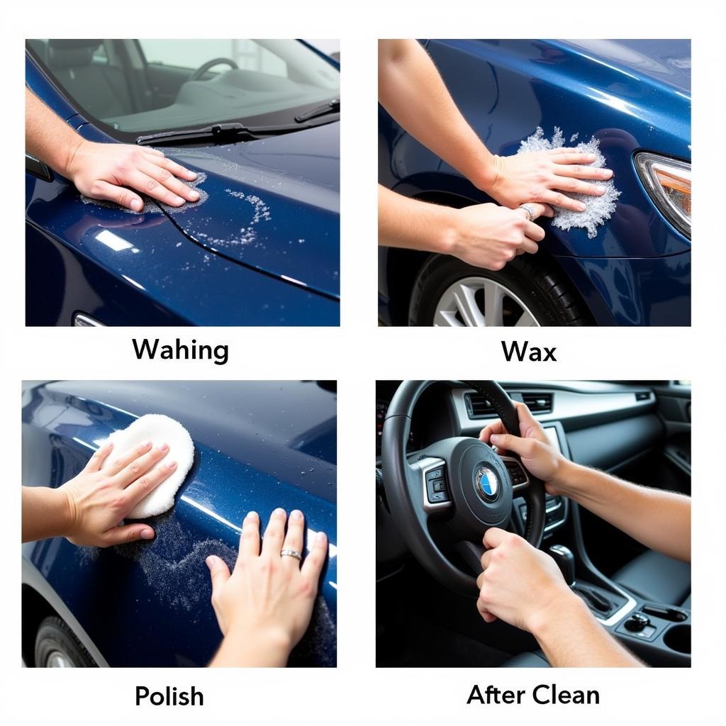 Car Detailing Services Offered in Covington, WA