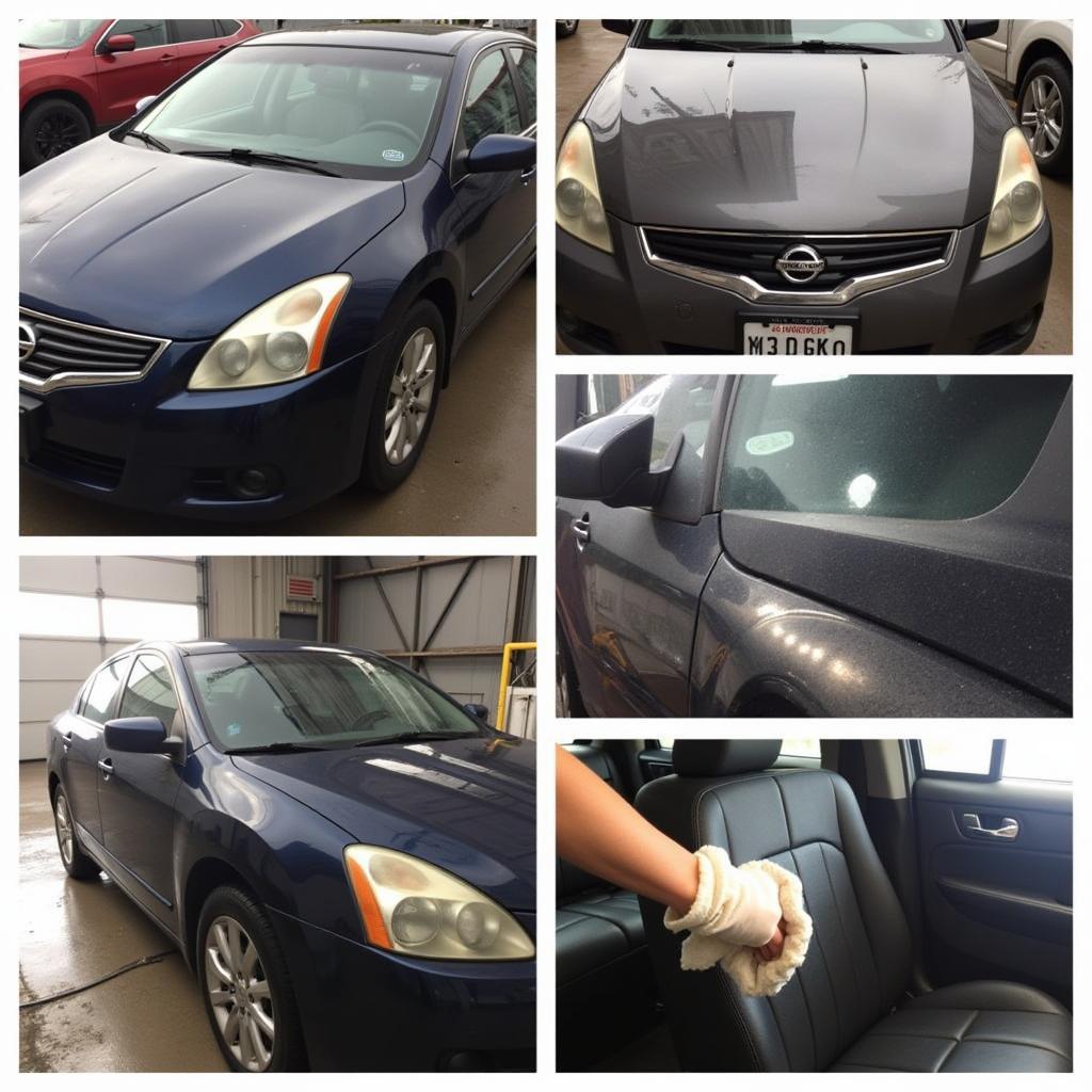 Various car detailing services available in Frederick, MD