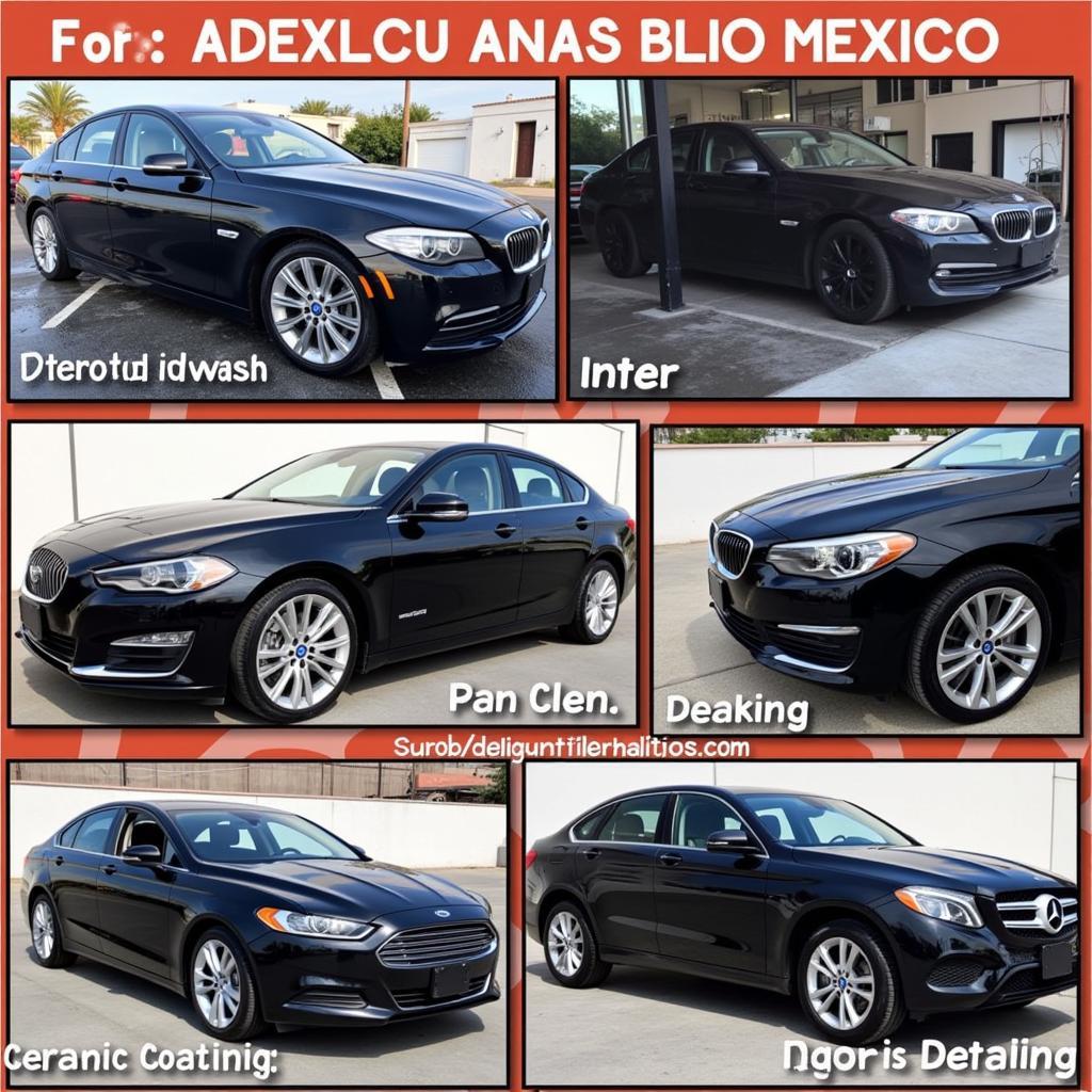 Car Detailing Services Offered in Mexico