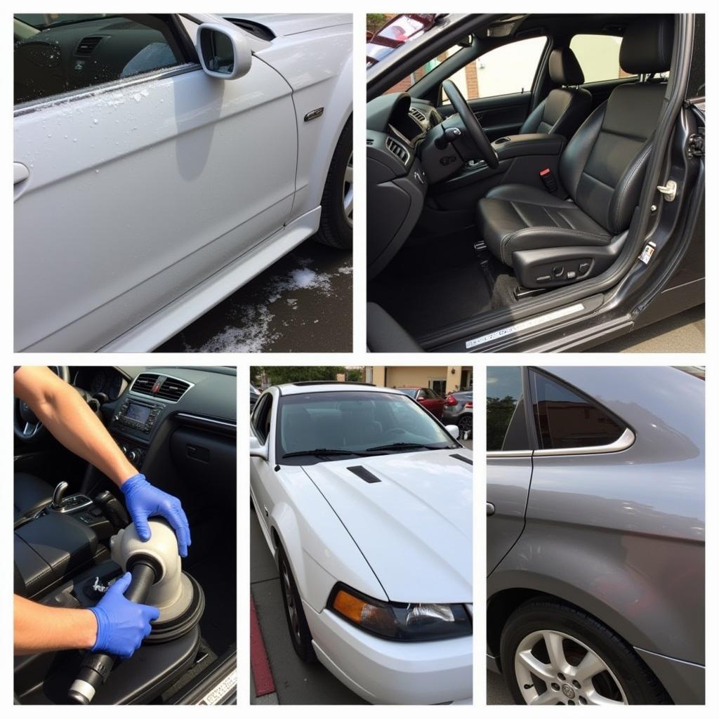 Car Detailing Services in Sacramento