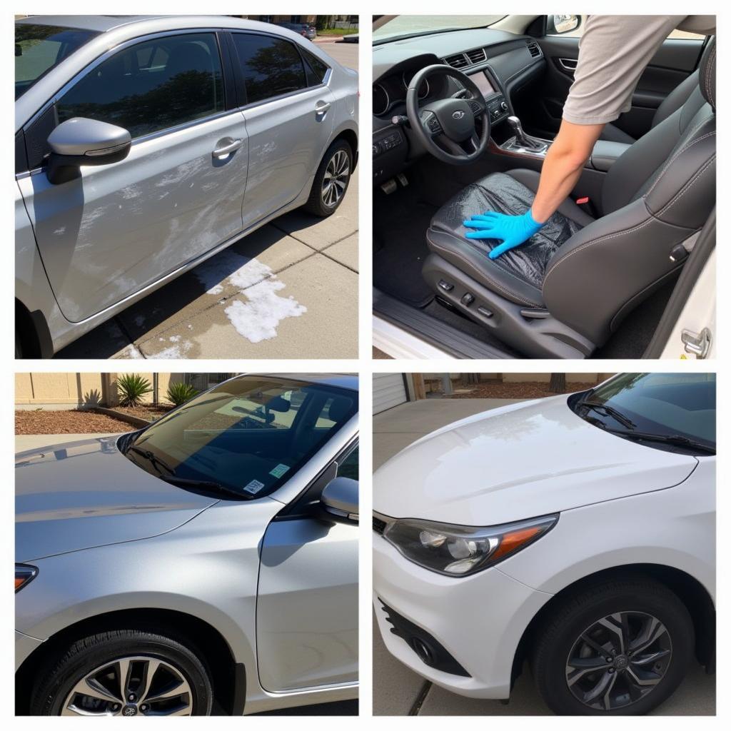 Various Car Detailing Services Available in Sherman Oaks