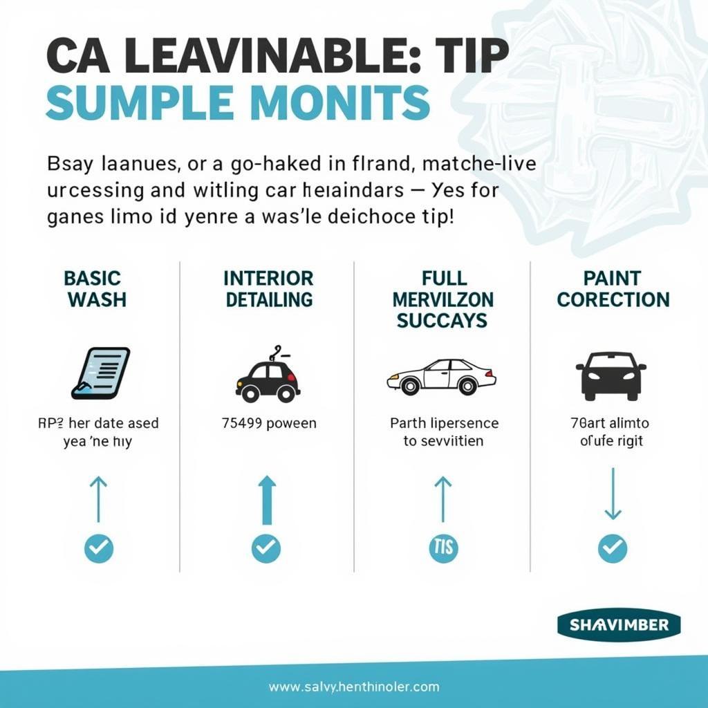 Car Detailing Services and Corresponding Tip Percentages