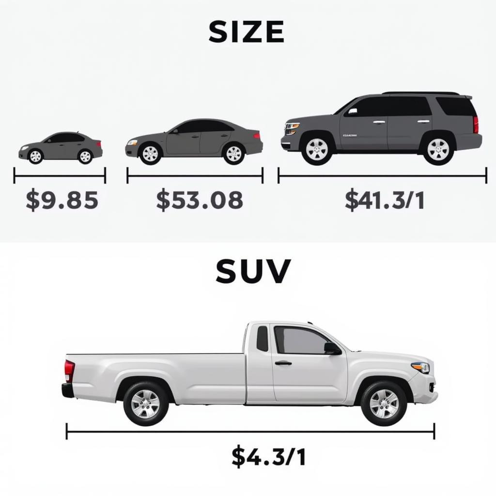 Car Detailing Size Comparison