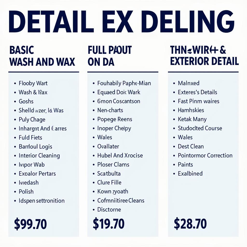 Car Detailing Split Packages