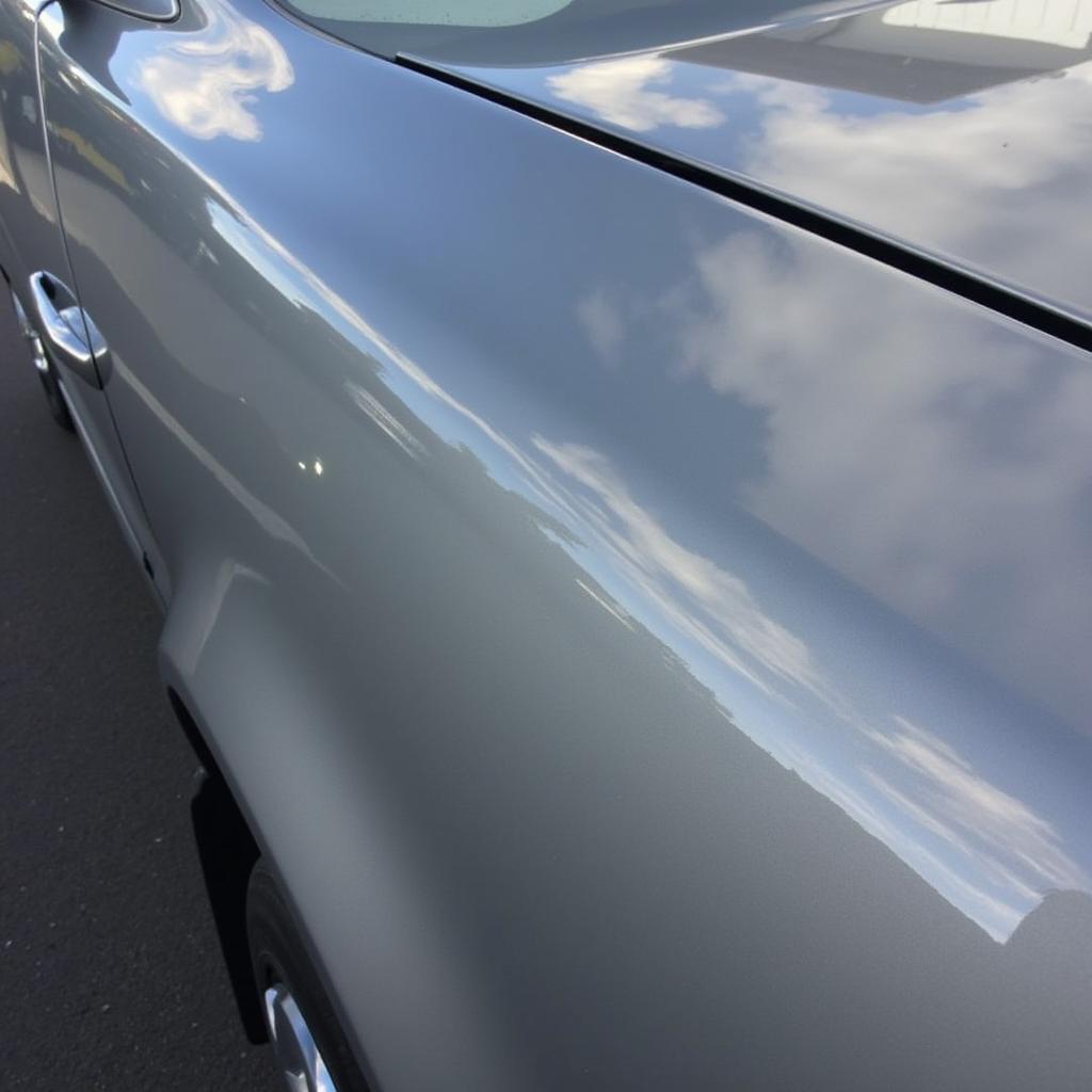 Car Detailing Sunshine Coast: Protecting Your Car's Exterior