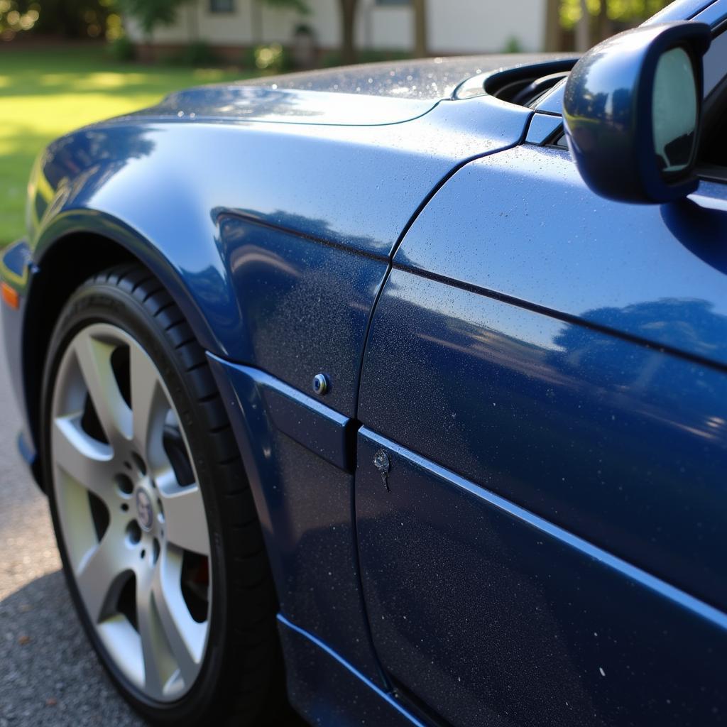 Car Detailing Surfers Paradise: Protecting Your Car's Exterior