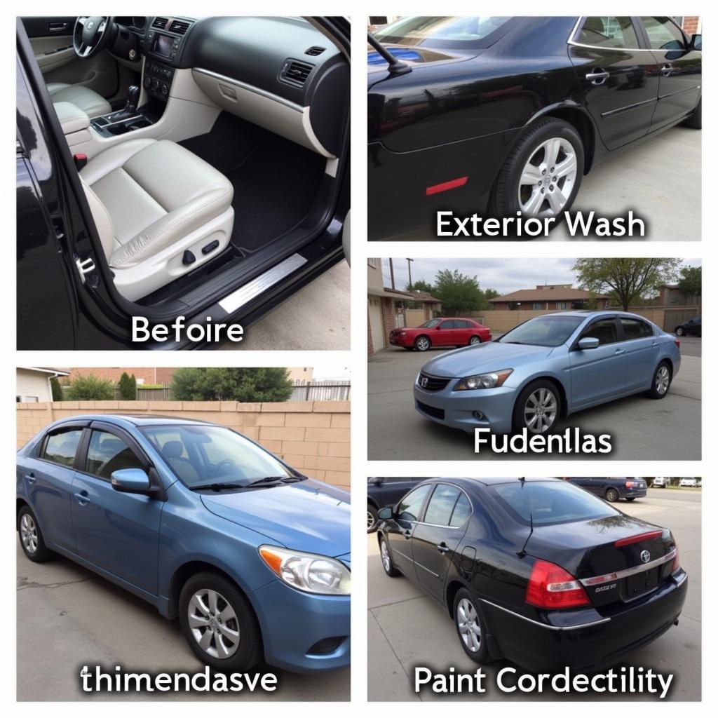 Car Detailing Services Offered in Tulare