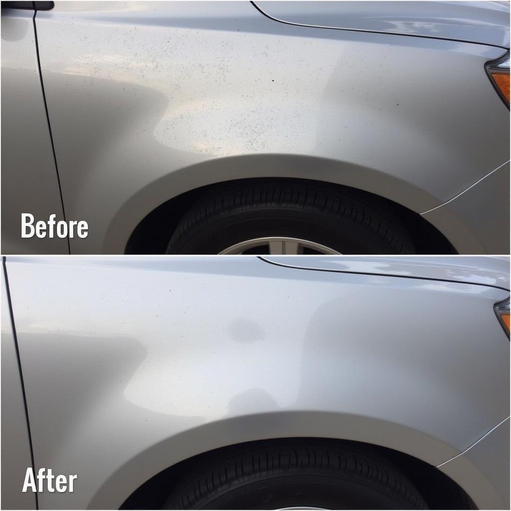 Paint Correction Car Detailing Victoria TX