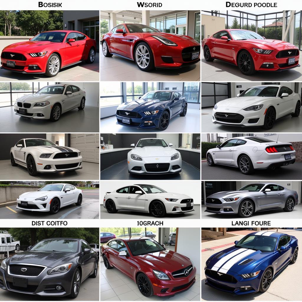 Car Detailing and Wash Services Near Me