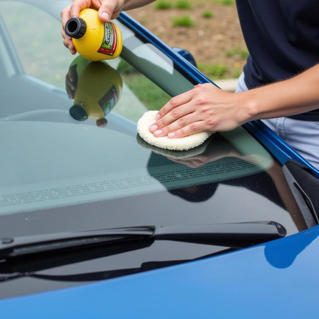 Car Detailing Windshield Treatment Maintenance