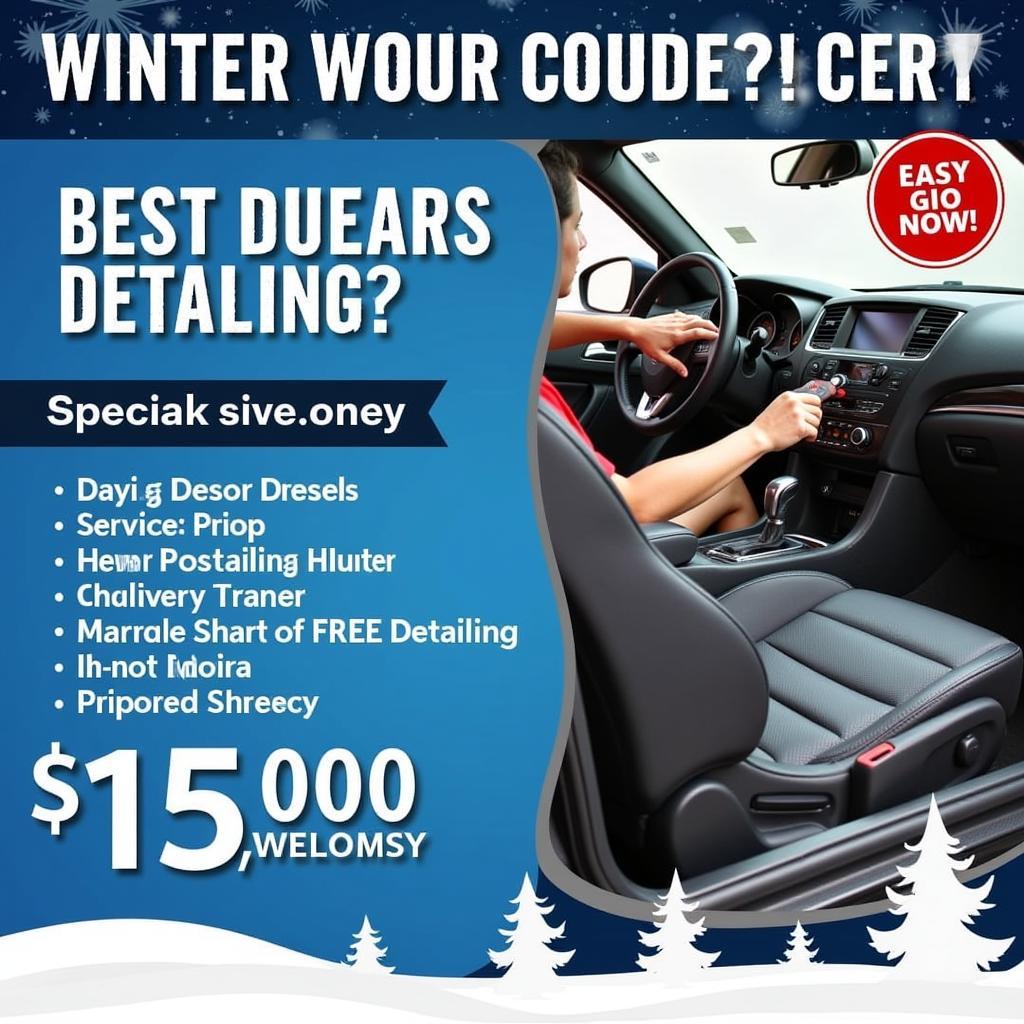 Car Detailing Winter Promotion Banner