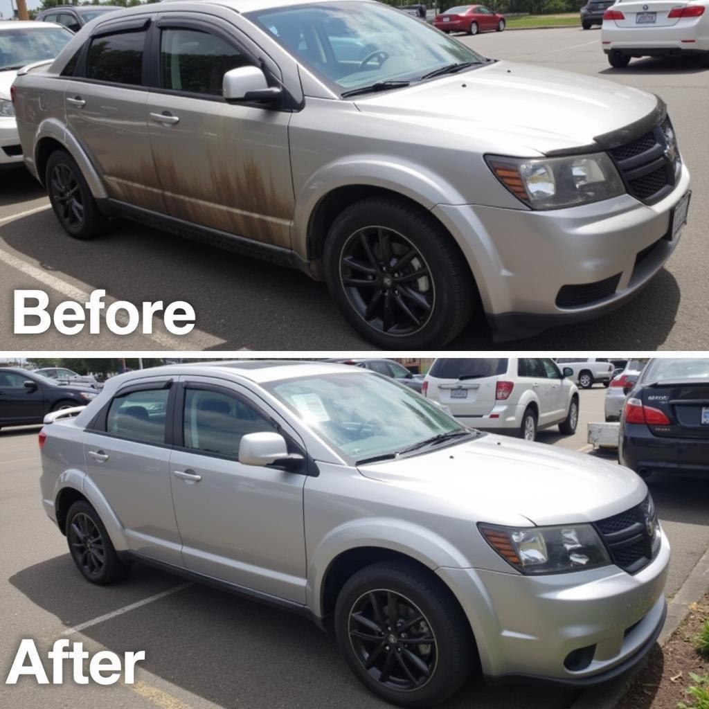 Car Exterior Detailing Comparison