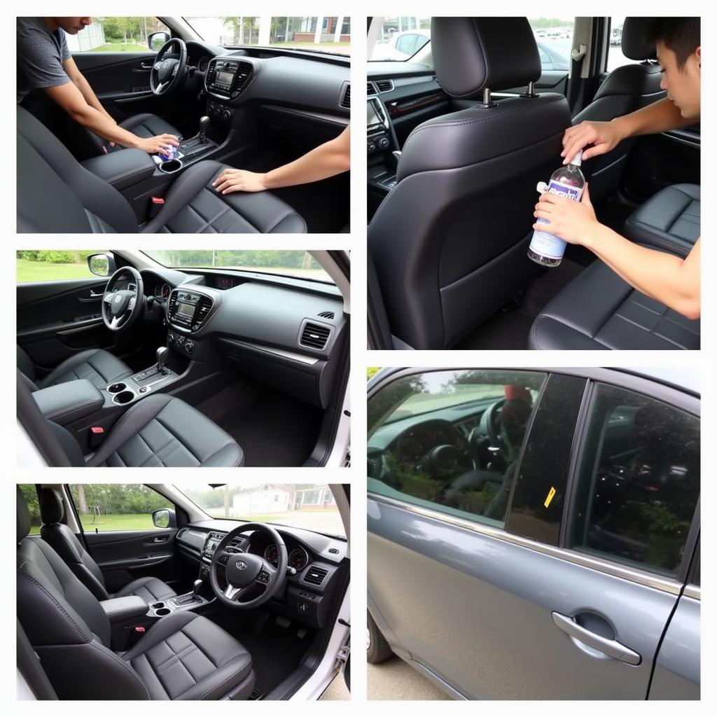 Car Interior Detailing Cleaning Process