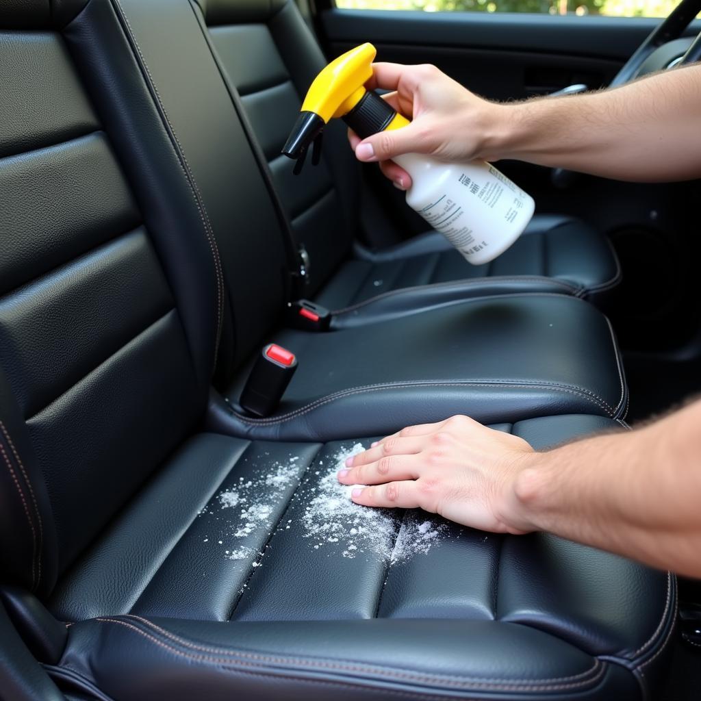 Deep Cleaning Car Interior in Northern Virginia