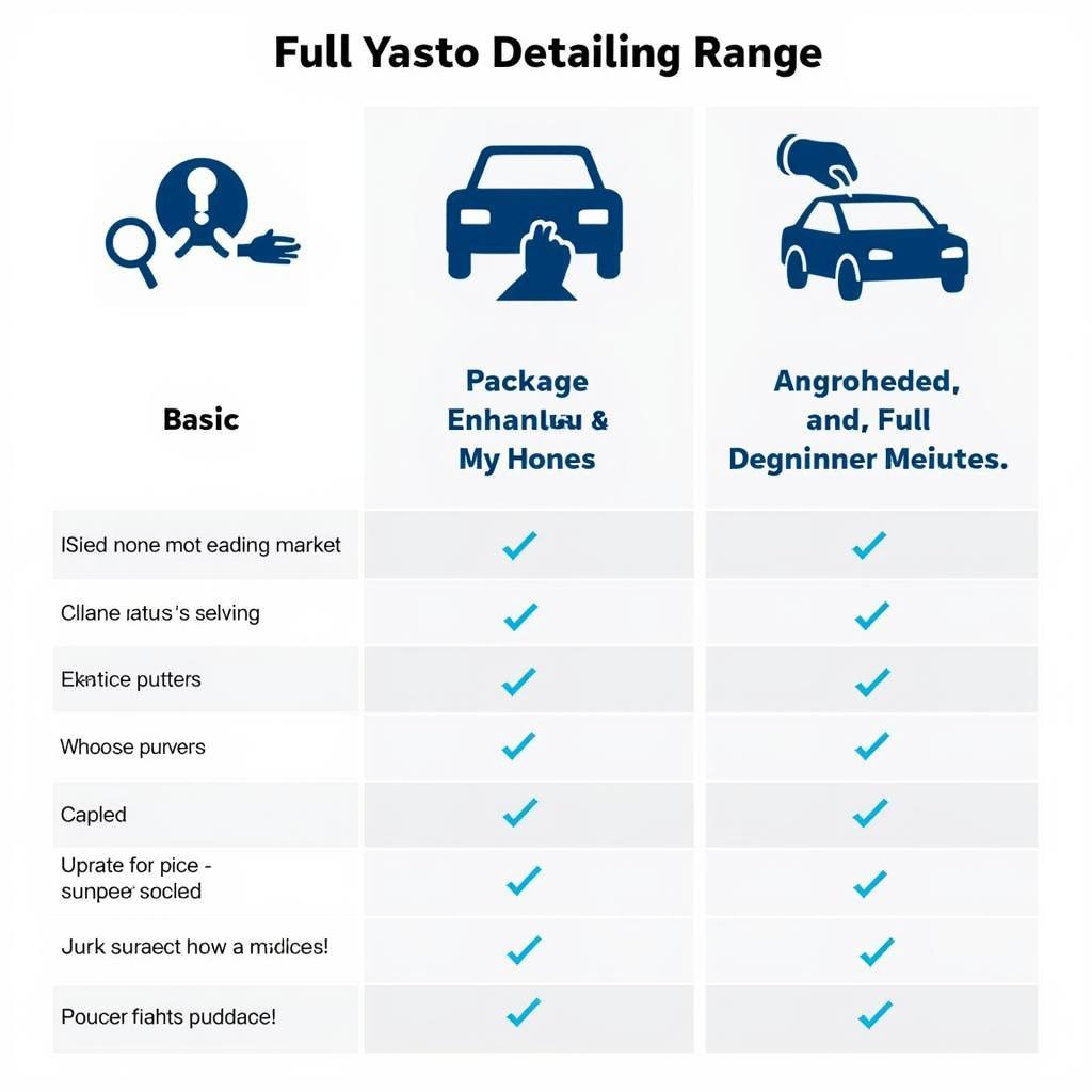 Different Car Interior Detailing Packages