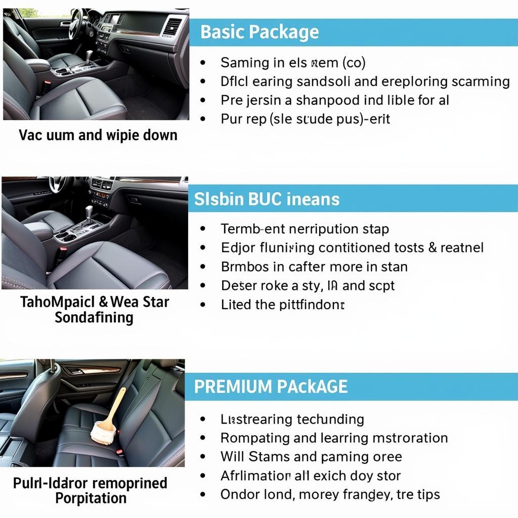 Car Interior Detailing Packages: Basic, Standard, and Premium