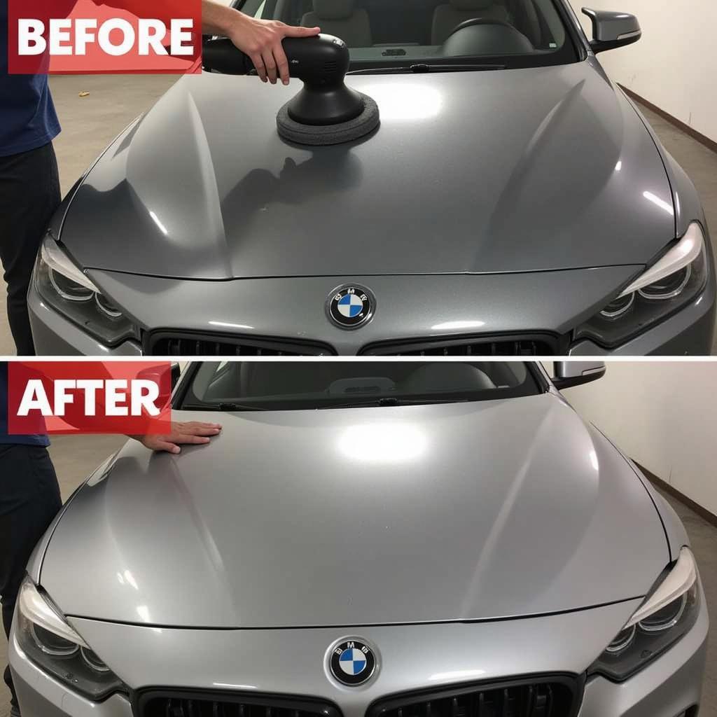 Car Paint Correction Process