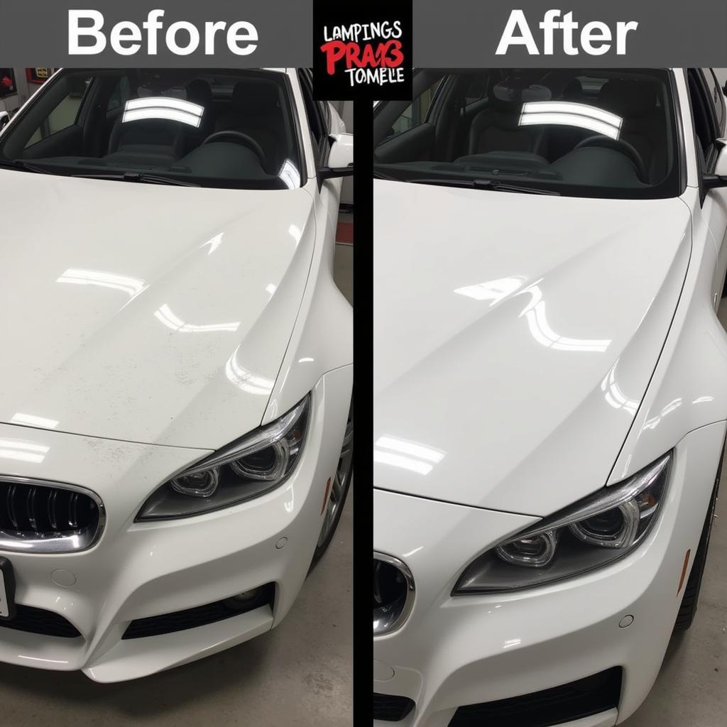 Car Paint Correction Process in Toronto