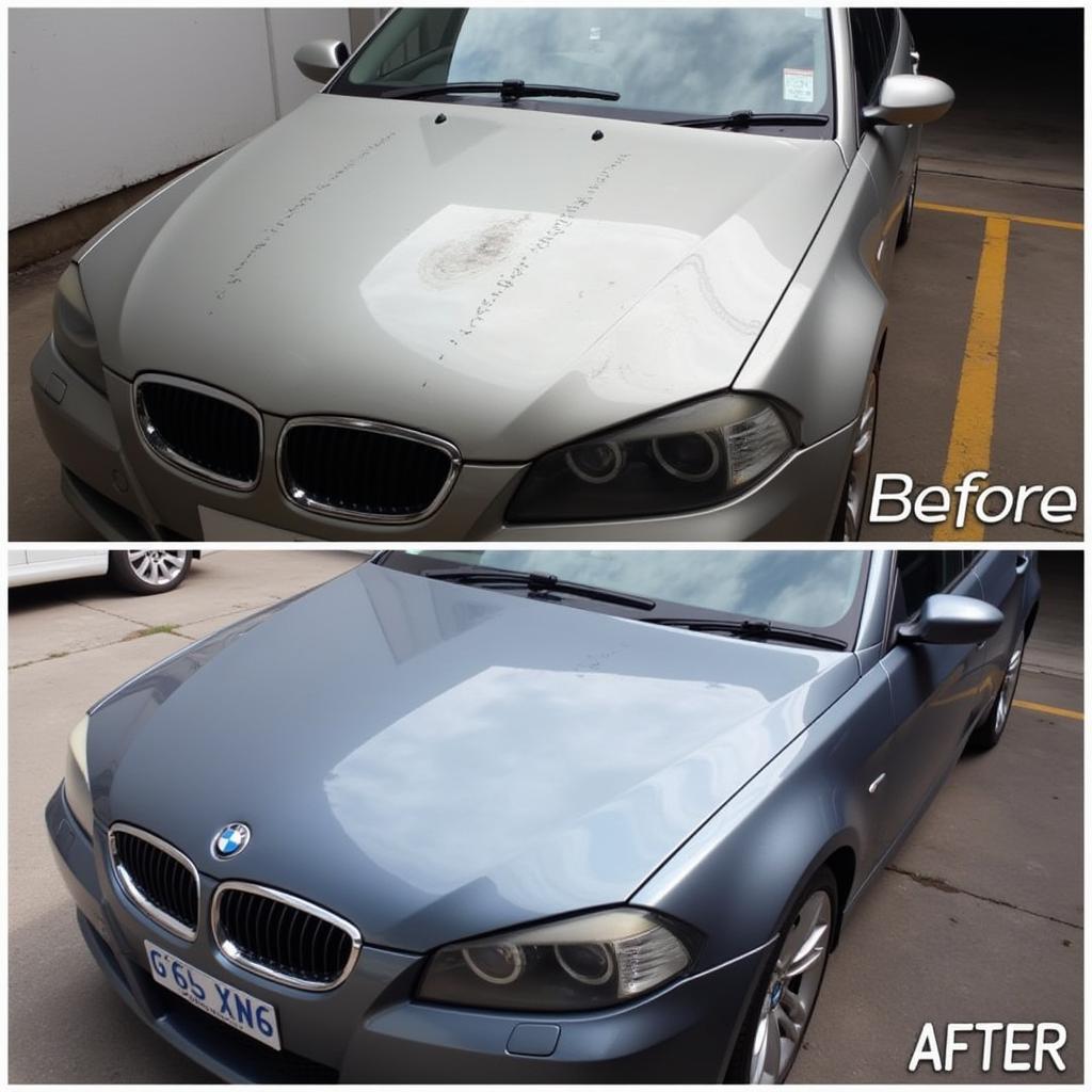 Car Paint Detailing Melbourne Before and After Transformation