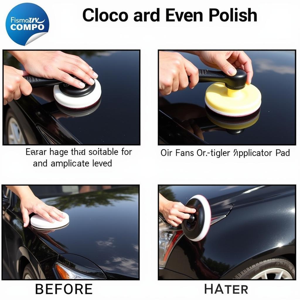 Car Polish Application Techniques in Tampa