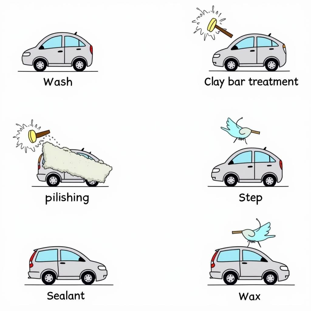 Car Polish and Detailing Process