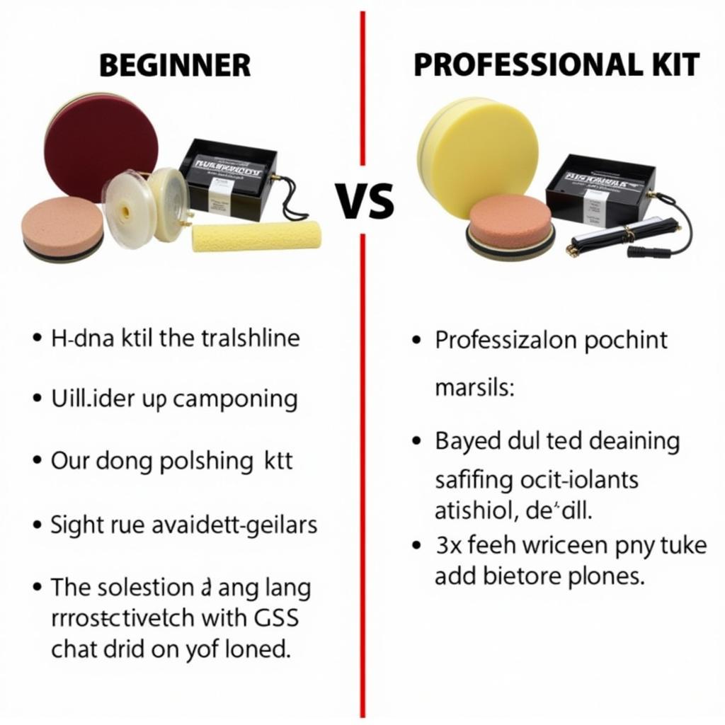 Comparison of Beginner and Professional Car Polishing Kits