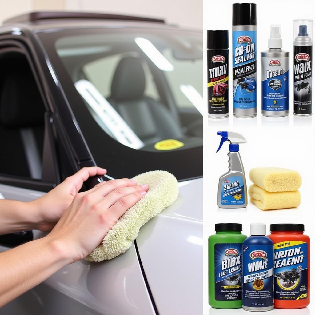 Car Polishing Process and Paint Protection